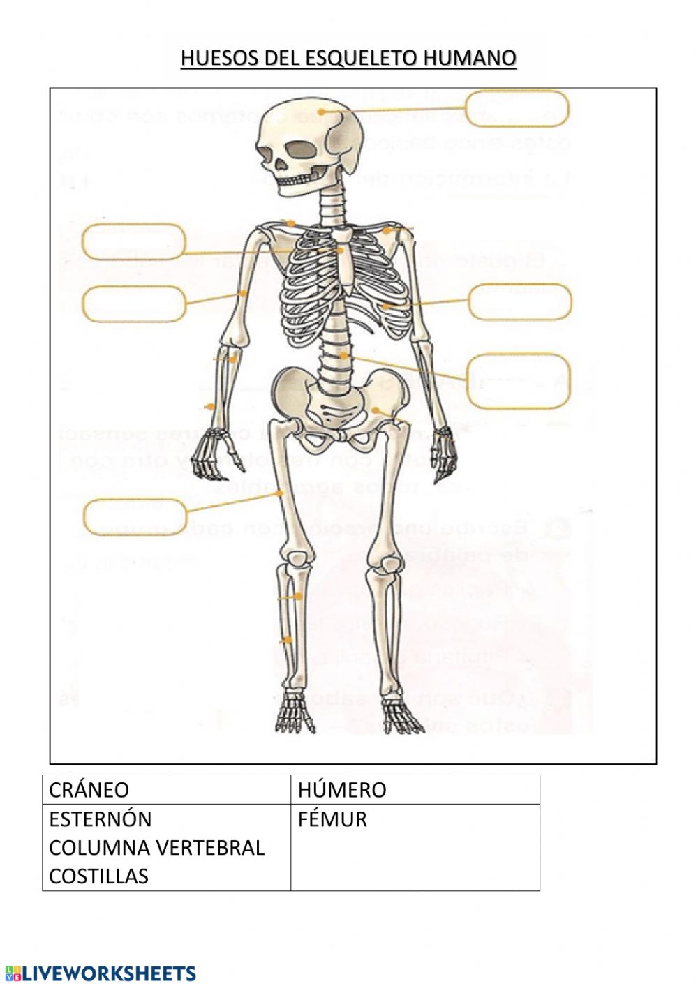 el simbolismo del cuerpo humano pdf